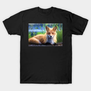 Beautiful Red Fox Portrait From Watercolor T-Shirt